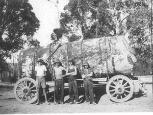 Click here for more Photos